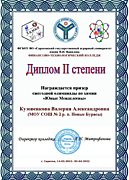 Диплом II степени Кузовенковой Валерии, участницы региональной олимпиады по химии "Юные Менделеевы"